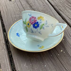 Richard Ginori Italy Floral Porcelain Teacup and Saucer Set Gold Trim Vintage‎